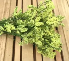 スカイイエロー大束・めぐみ工房 北海道ドライフラワー リース 花材