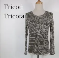 トリコッティトリコッタ Tricoti Tricota 長袖Tシャツ シルク