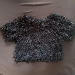 グレイル　ショート丈トップス