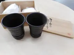 Item thumbnail for item a5276396-c447-40a0-88bc-028054398f11