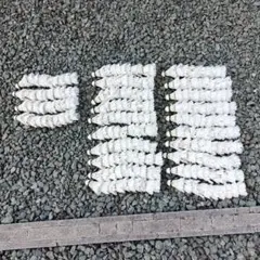バドミントンシャトル 240球