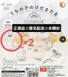 【正規品】うちの子のけだまだま シャム×2　ガチャ　シープラ限定