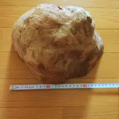 木のコブ　インテリア　器等作品作り　材料