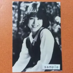 松田聖子　プリティ写真　白黒