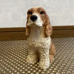 カスターニァ社