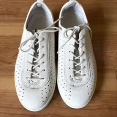 【美品】ecco エコー レザー スニーカー パンチング デザイン　37