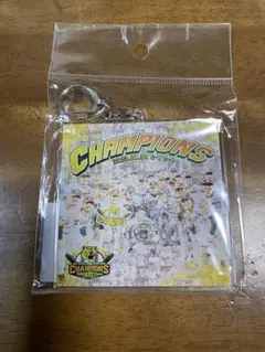 阪神タイガース セリーグ　クライマックス　優勝記念　フォト　アクリルキーホルダー