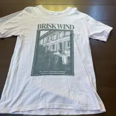 即日発送　WORK PLANT BRISK WIND Tシャツ Lサイズ ピンク