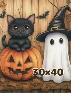 30×40 ダイヤモンドアート キット ラウンド 黒 猫 パンプキン おばけ