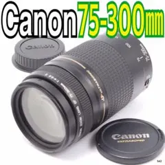 キヤノン Canon EF 75-300mm F4-5.6 II