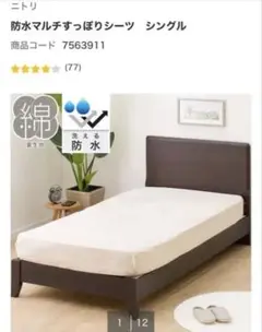 Item thumbnail for item f3582481-52eb-4db0-8d43-60405ed052cc