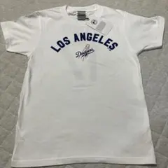 Item thumbnail for item 7ef93fe7-554b-4c28-afcd-53b813f9fe75