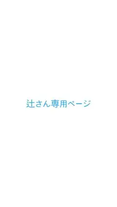 専用ページ