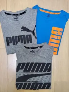 Tシャツ　3枚セット　150cm　プーマ
