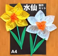 水仙　春　冬　保育園　幼稚園　高齢者施設　製作キット　壁面