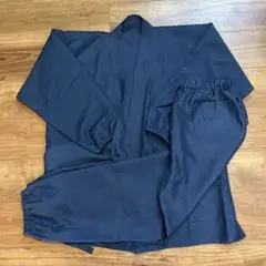 Item thumbnail for item 0439c74c-1291-4a03-a6ca-a00afcefef0a