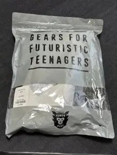 Item thumbnail for item 38570a19-175c-447e-88b2-4c2c7a1526cc