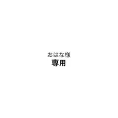 STUSSY アイロンシート 3枚