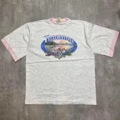 USA製 90s yellowstone Tシャツ ヴィンテージ
