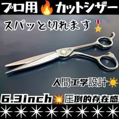 Item thumbnail for item c88e225a-0ff2-4de5-b75c-f160b8550ab9