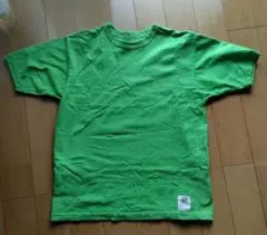 緑色 コットン Tシャツ Lサイズ
