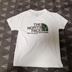 Item thumbnail for item 224ec78b-7772-4553-ba18-c56e500e6d4d