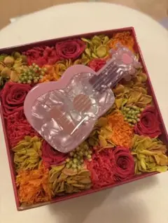 ギターヘアクロー