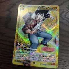 ドラゴンボール 孫悟空 SR PPカード DB226