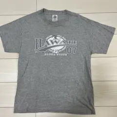 Hawaii 07 グレー Tシャツ Mサイズ