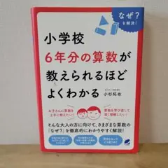 小学校6年分の算数が教えられるほどよくわかる