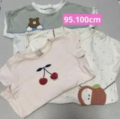 プティマイン　他　95.100cm