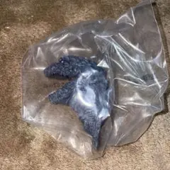 ゴジラ 一番くじ モンスターヘッドマグネット シン・ゴジラ ②