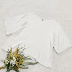 Item thumbnail for item 2bea4925-c11b-48a5-b69c-34965e4c4a99