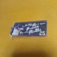 中日ドラゴンズガチャ 選手応援歌キーホルダー 25.石川昂弥選手