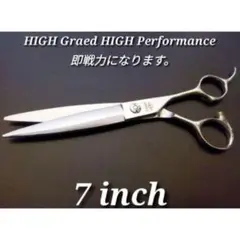 Item thumbnail for item b28bcef6-08a2-4d7c-beb7-ea075387908b