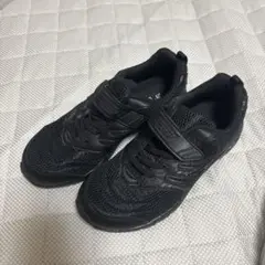 Item thumbnail for item 3866f0cd-d24c-40ee-87cc-1aa72d75f197