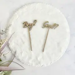 木製 ジェンダーリビール ケーキトッパー typeC Boy Girl