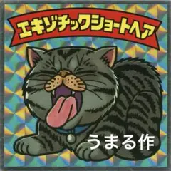 【ビックリマンチョコ風】エキゾチックショートヘア