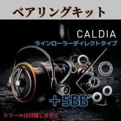 21カルディア フルベアリングキット【ラインローラーダイレクトタイプ】