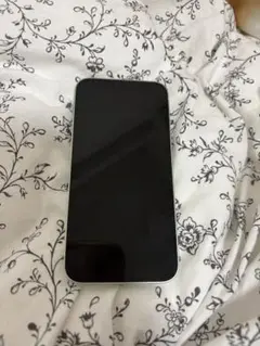 Item thumbnail for item dfbb75f2-8833-4803-8f91-50fc7fde6be4