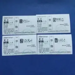 第56回安田記念 現地馬券4枚セット 単勝