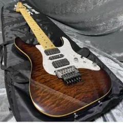2025年最新】schecter sd-ii-24の人気アイテム - メルカリ