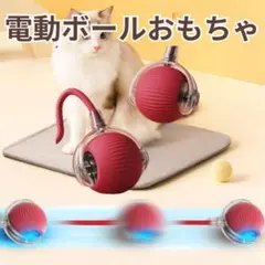 Item thumbnail for item 171e9866-1257-4664-b0a8-7f898d78dfe6