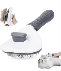 Item thumbnail for item c27606cf-818e-4dcd-9fc3-edf1684c5891
