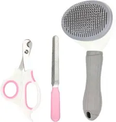Item thumbnail for item d9d0dfee-b28e-4e06-b30a-84225b14a469
