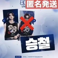 seventeen セブチ　マスター　スローガン　エスクプス　未使用