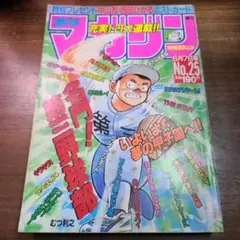 週刊 少年 マガジン No.25 1989年 中山忍　西田ひかる ポストカード