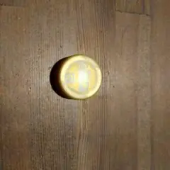 ジンジャーエールのキャップ