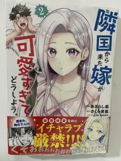 【未開封】隣国から来た嫁が可愛すぎてどうしよう　コミックス　2巻