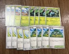 フシギダネ.フシギソウ.むしとりセット.活力の森　進化ライン.